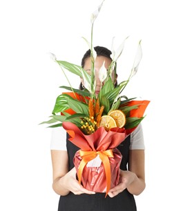 Hediye Paketli Barış Çiçeği