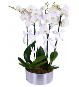 samsuna çiçek siparişi  samsun çiçekçi 